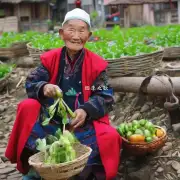 哪些人可以享受云南农村养老服务的好处？