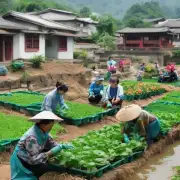 如何确保桂林市临桂区的农民能够获得高质量且可负担得起的医疗保健？