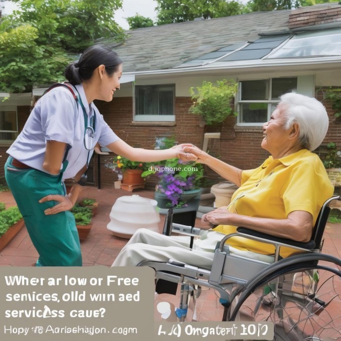 有哪些地方提供免费或低收费的老年护理服务呢？